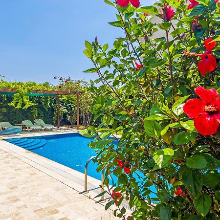 Paradise Town Villa Royal Belek Eksteriør bilde
